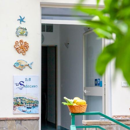 'U Salecaro Bed & Breakfast Agropoli Luaran gambar